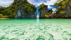 เกาะห้อง